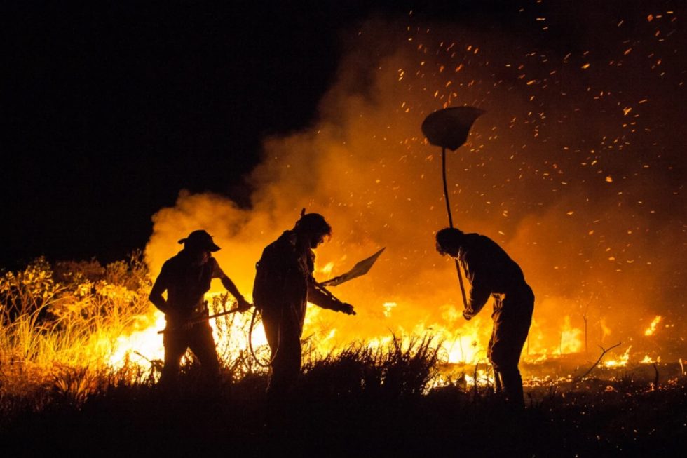 Incêndios Florestais e seus danos