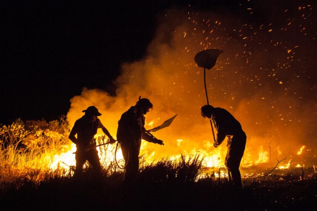 incendio-florestal-secur-03