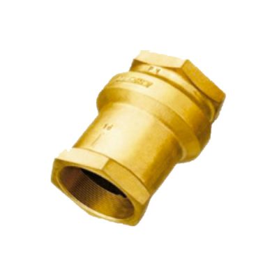 Válvula de retenção vertical