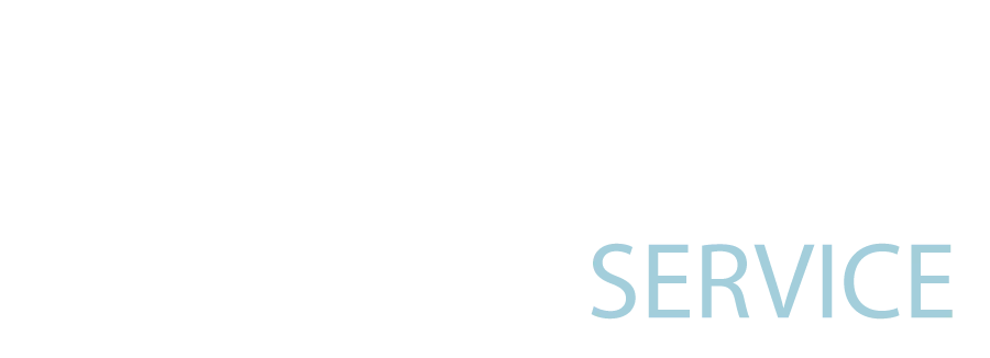 detalhe do logo da secur service