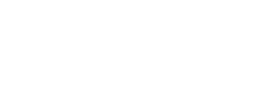 logo da secur service